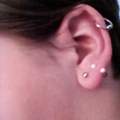 ROOK PIERcING  (AAAnatomiee)