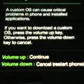 Samsung Galaxy S2 GT-i9100 (W-LAN Problem)