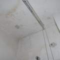 Schimmel durch Wasserschaden, was nun?