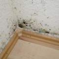Schimmel im Schlafzimmer hinter dem Bett