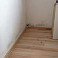 Schimmel im Schlafzimmer hinter dem Bett