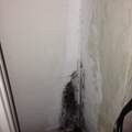 Schimmel im Schlafzimmer/Fensterbank