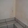 Schimmel/Feuchtigkeit in der Wohnung (Souterrain) ... ?