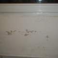 Schimmel/Feuchtigkeit in der Wohnung (Souterrain) ... ?