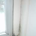 Schwitzfenster und Schimmel