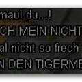 Das ist der Screen