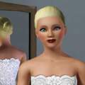 Sims 3 - Farben verblassen