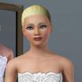 Sims 3 - Farben verblassen