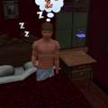 Sims 3 Bugs beim schlafen :(