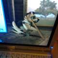 Sims 3 Grafik Probleme