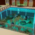 Sims 3: wie bekomme ich Bodenfliesen direkt auf den Pool ?