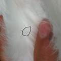 was ist das 2