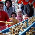 Spiele Wie Schießständte und Enten angeln auf dem kirmes?Lohnt es sich?