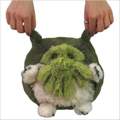 Squishables in Deutschland?