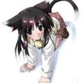suche anime mit Katzenohren oder Hasenohren