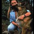 Suche eine Fernsehserie aus den 90er Jahren...KELLY THE HERO
