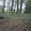 Suche jemanden mit Tarnerfahrung (Realtree)