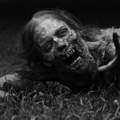 the walking dead, zombies?