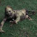 the walking dead, zombies?
