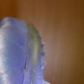 Tipps für Reinigung von Fußballschuhen mit Kunstrasenbelag...