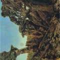 "totem und tabu" max ernst??