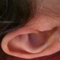 Tragus Piercing HILFE! knorpel zu klein?