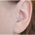 tragus stechen lassen? o.0  (bild)