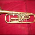 Trompete Jazz Hilfe Modell Wert