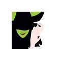 Umfrage zum Theaterstück Wicked :)!