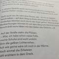 Vorstadtmorgen von Lili von Braunbehrens Gedichtinterpretation