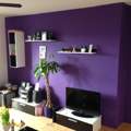 Wand streichen! Welche Farbe oder Muster
