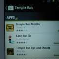 Warum funktioniert bei mir Temple Run nicht?