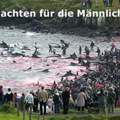 Warum machen die Menschen sowas ???