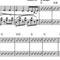 Was bedeuten diese Notationszeichen und wie muss ich damit umgehen?