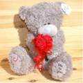 Teddy