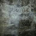 was ist das an der Kellerwand?