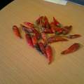 Was ist das für eine Chilli ?