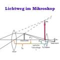 Was passiert im Strahlengang des Mikroskops, wenn man die Linsen vergrößert (bzw verkleinert) ?