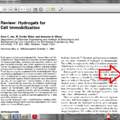 was soll diese toolbar beim adobe reader???