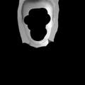 Weelche Gesichtsform habe ich?