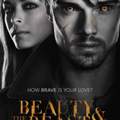 Weiss jemand wo ich die Serie Beauty and the Beast im Internet auf Englisch sehen kann.??