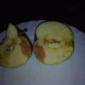 Welche Apfelsorte ist das?