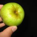 Welche Apfelsorte ist das?