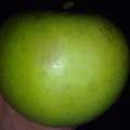 Welche Apfelsorte ist das?