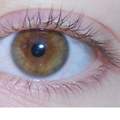 Welche Augenfarbe habe ich? (Personalausweis)