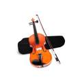 Welche Violine soll ich denn nehmen .? Brauche Hilfee