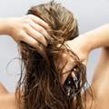 welcher Shampoo hilft gegen Fettige Haare ?