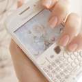 Welches Blackberry ist es?