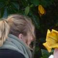 größe der blüte