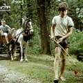 Wer kennt diesen DDR-Kinderfilm?